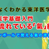 【東洋医学】体に流れているもの(気・血・津液入門編①)