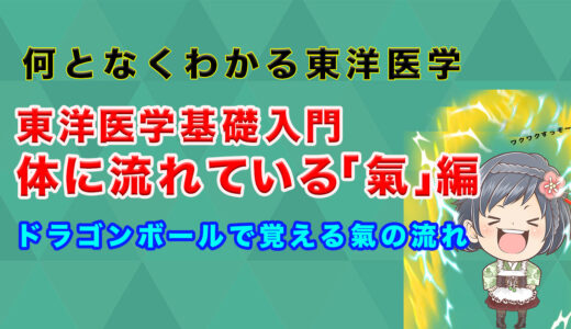 【東洋医学】体に流れているもの(気・血・津液入門編①)