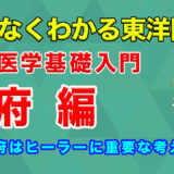 6蔵を簡単解説！東洋医学基礎入門