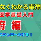 6府を簡単解説！東洋医学基礎入門